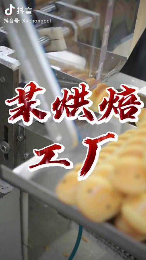 直击某烘焙工厂!窥探食品添加剂,植物奶油,配料表等背后真相!甜品烘焙