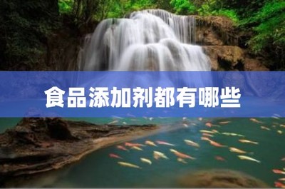 食品添加剂都有哪些